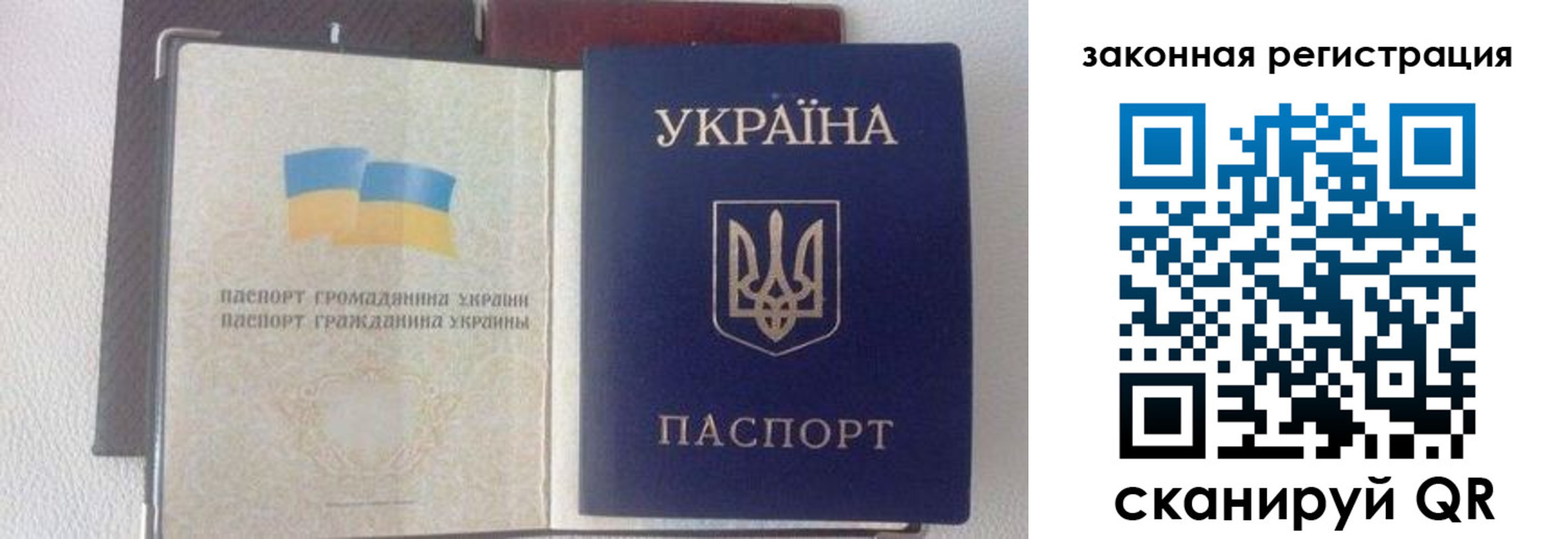 прописка поиск в Ярославле